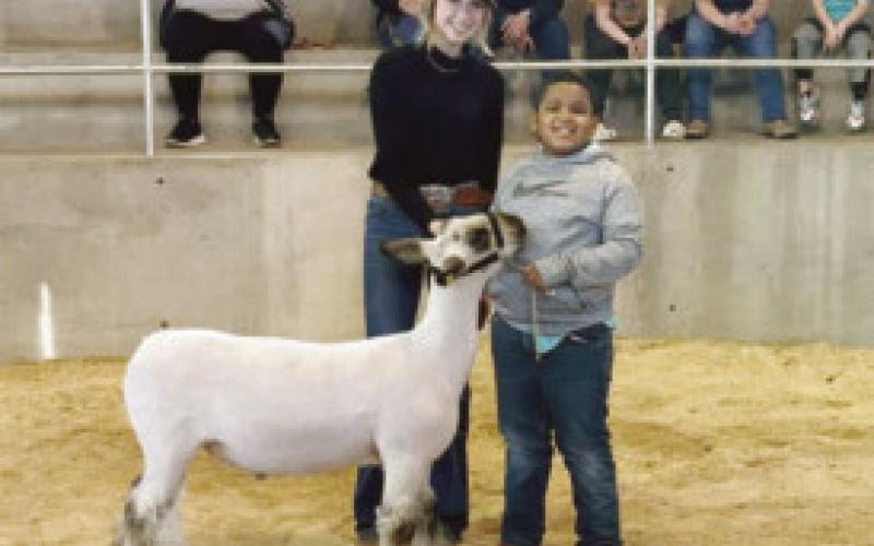 Stock show and Ring of Champions was a hit.