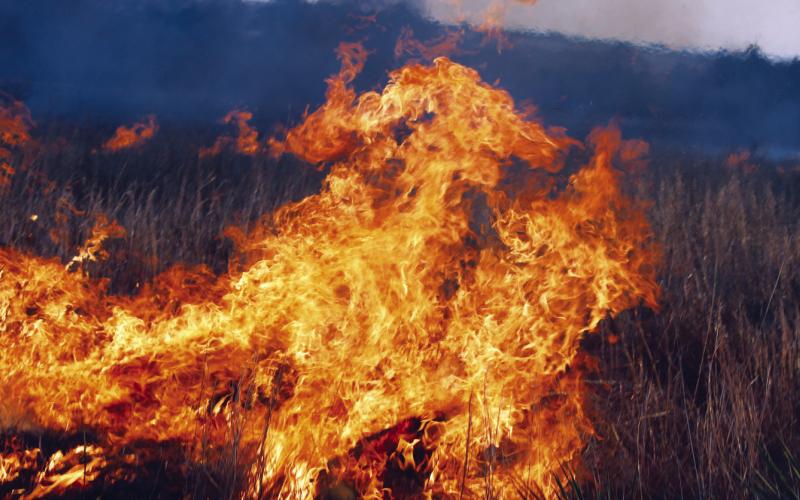 Strategic Priorities Strengthen Nation’s Wildfire Response