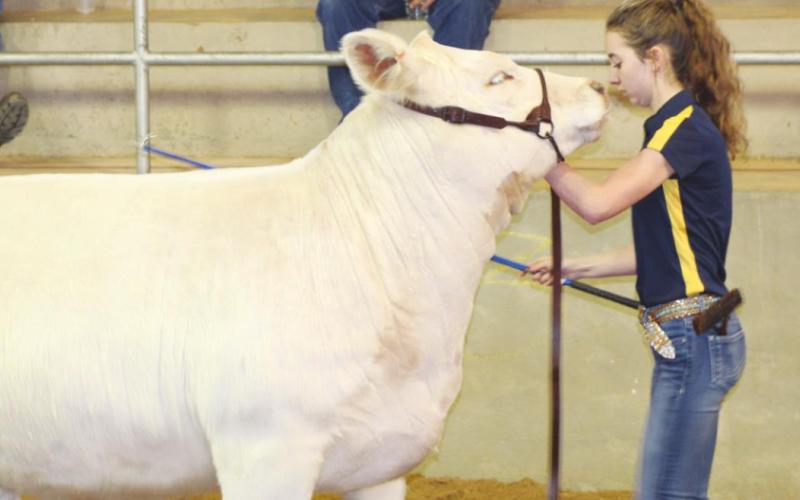 Don’t Miss Out on the Activities at the County Fair!