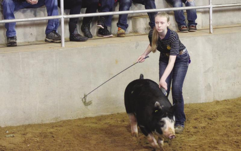 Good Luck Stock Show Contestants