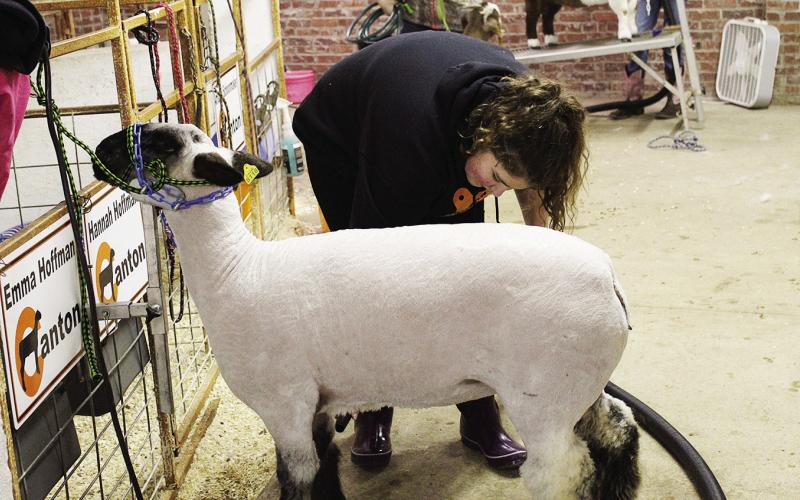 Good Luck Stock Show Contestants
