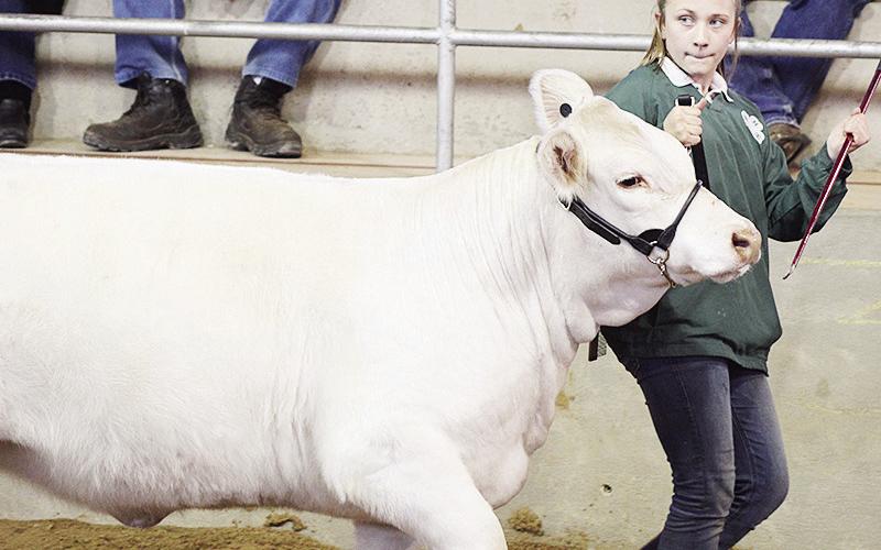 Good Luck Stock Show Contestants