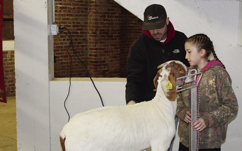 Good Luck Stock Show Contestants