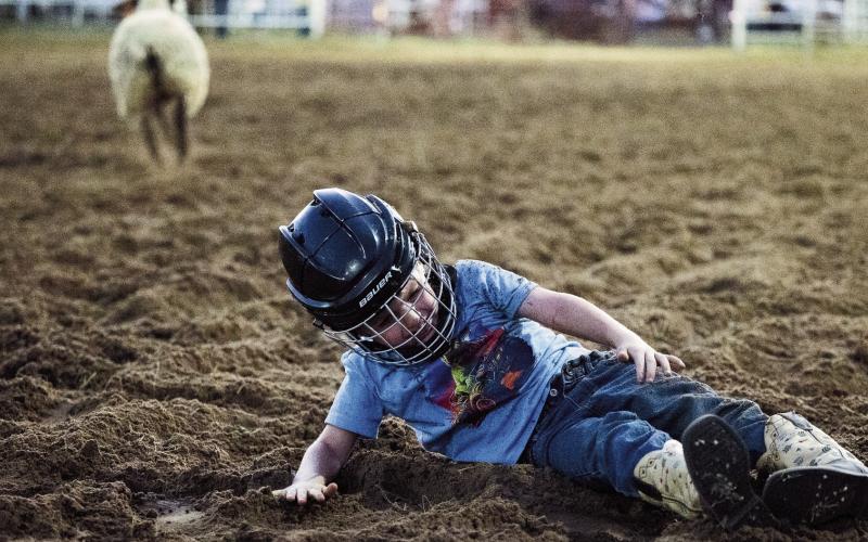 Cheese Festival Rodeo Results
