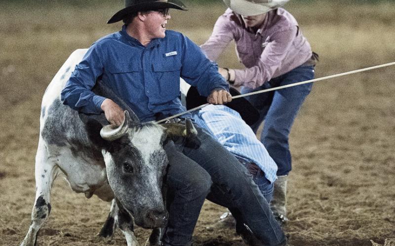 Cheese Festival Rodeo Results