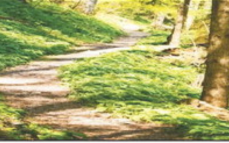 Trail Grants Open