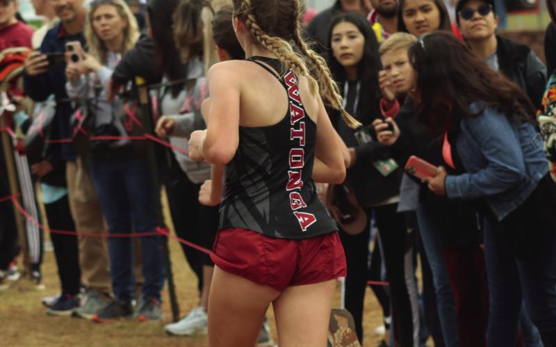 County Runners Represent at State