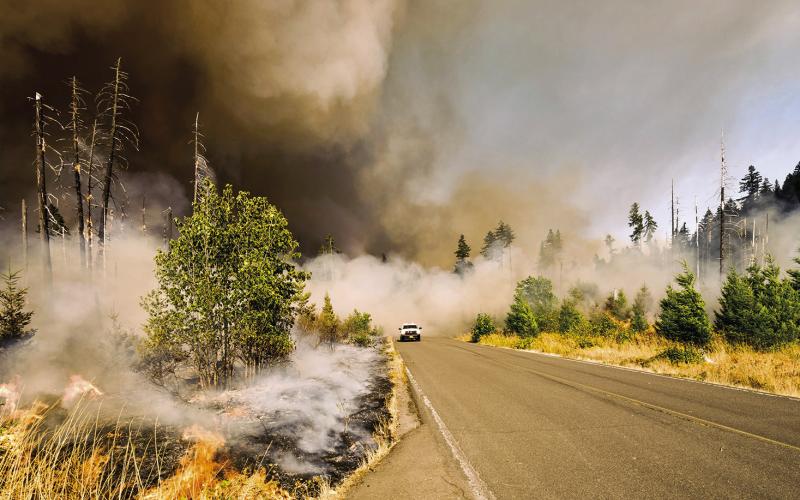 Forestry Service Urges Caution with Fireworks