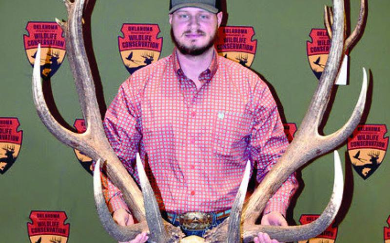 First 400 Class Elk Sets