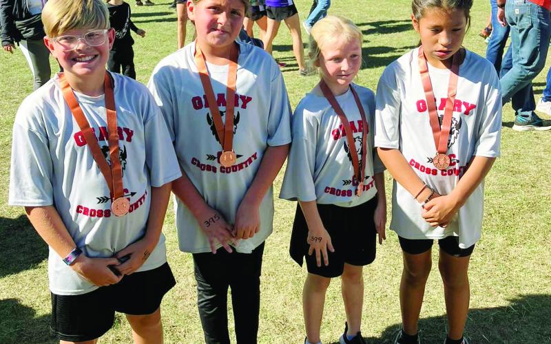 Homecoming, Cross Country Fill Weekend