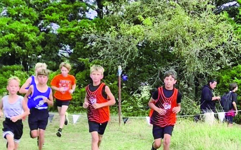 Canton Cross Country, Brings Home the WIN!