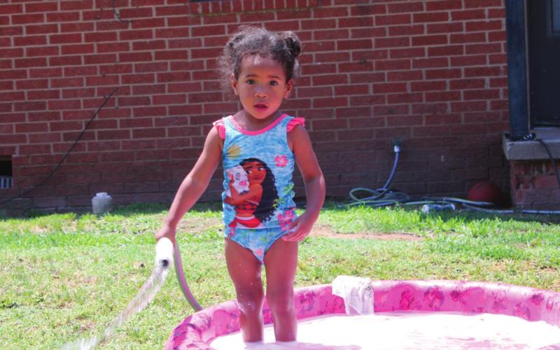 Summer Snapshots