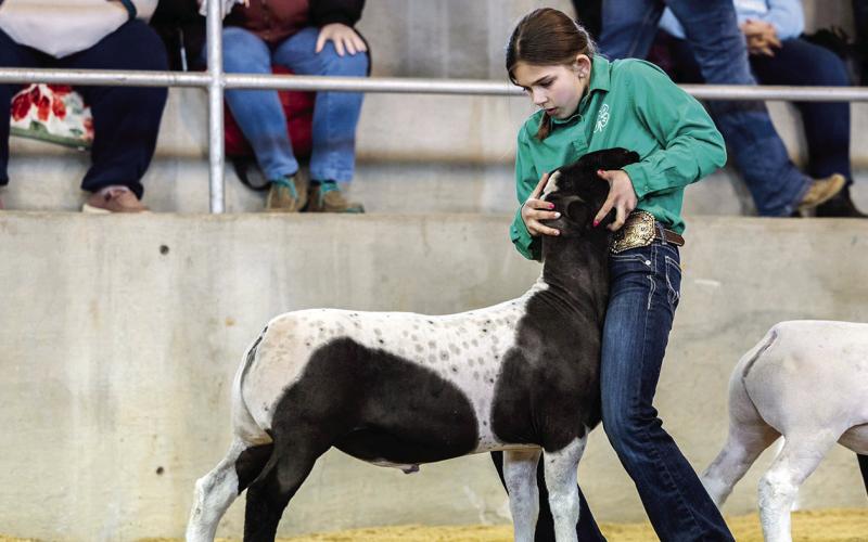 2024 Stock Show