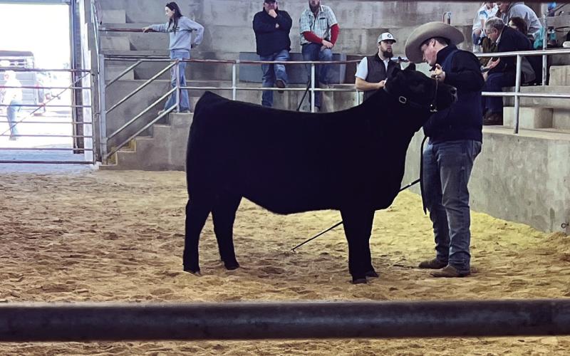 2024 Stock Show