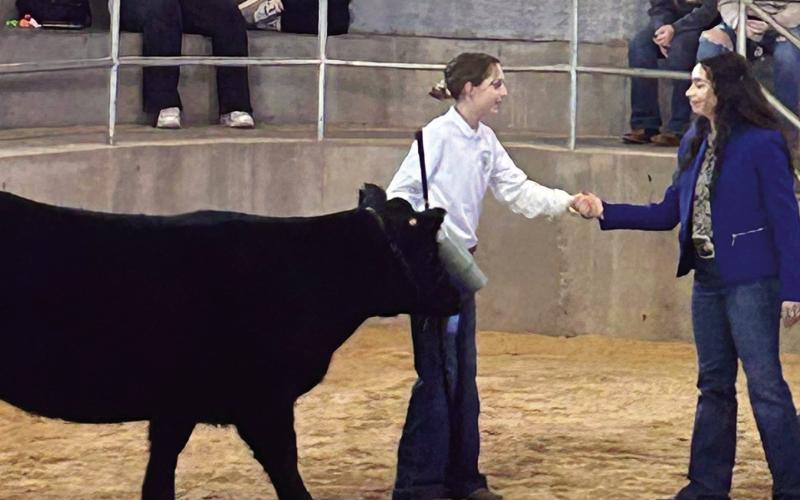 2024 Stock Show
