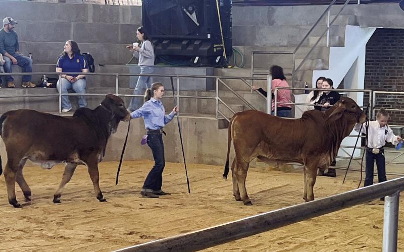 2024 Stock Show