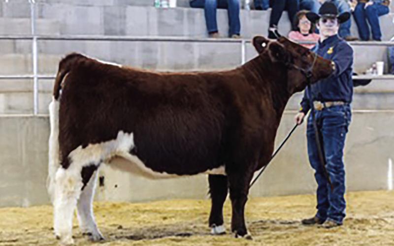 2024 Stock Show
