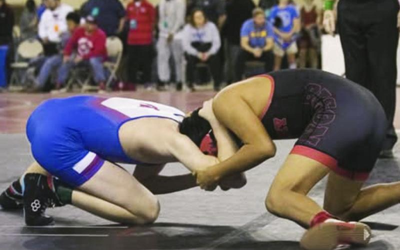 Great Things From Band &amp; Wrestlers