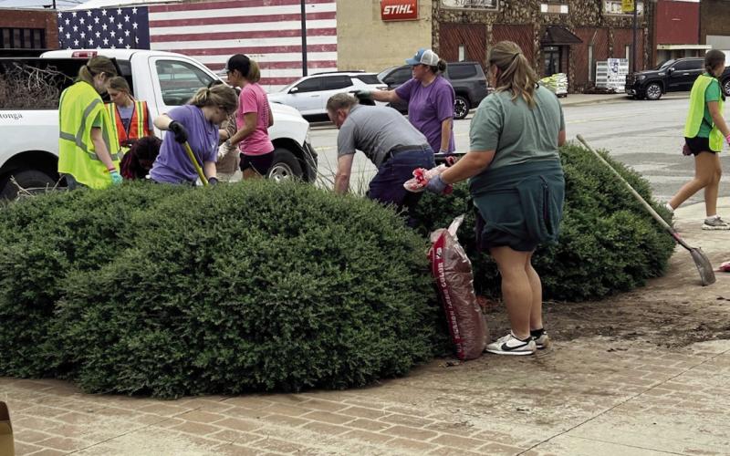 Volunteers Preparing for Cheese Festival