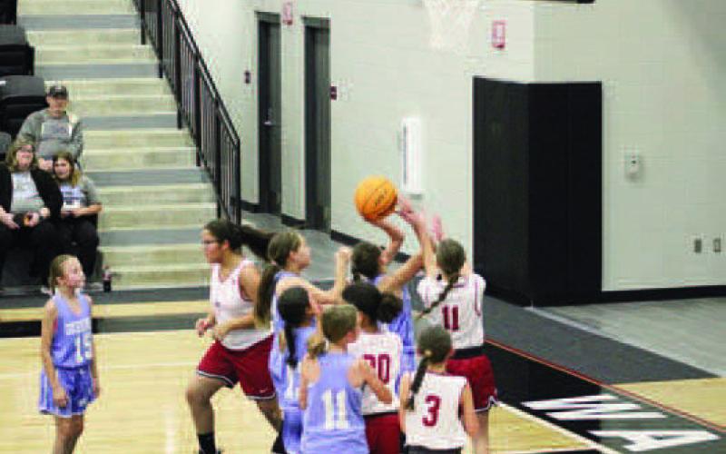 Watonga Eagle Sports