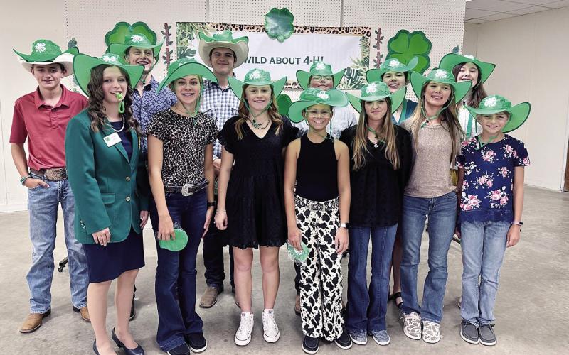 4H Achievements Recognized