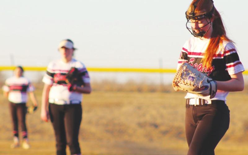 Area Softball, Baseball Updates