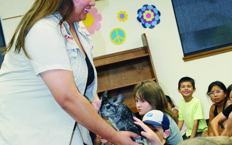 Animals A Hit With Readers