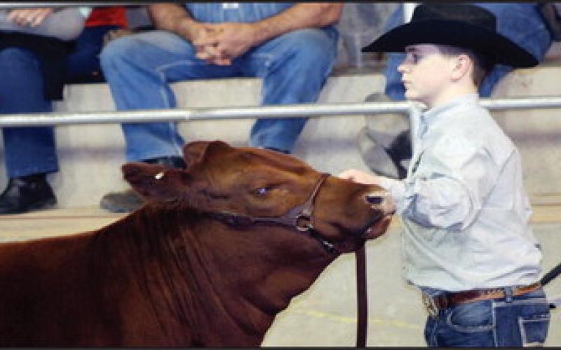 Not only is Dayson Cash making a name for himself showing Shorthorn cattle, he was recently a member of the winning beef cookoff team at the Junior National Shorthorn Show and Cookoff. Watonga Republican Stock Photo