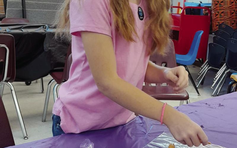 Little Bison Benefit From Summer Programs