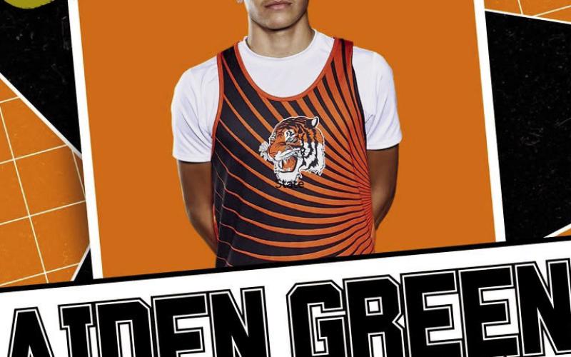 Tigers on the Prowl