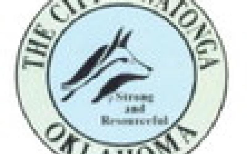 Council Adjusts Budget