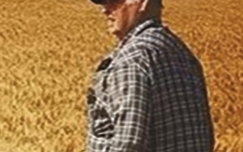 Fred William Holsapple