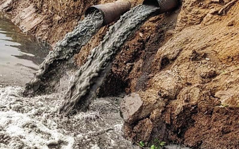 Bill Stops Damage From Grows