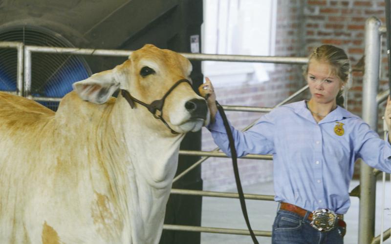 Blaine County Fair Highlights Kids