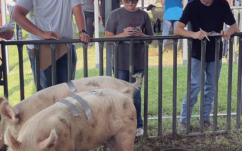 At Left: The Geary FFA attended the Blaine County Livestock Judging Contest on Friday, Aug 18, and did an excellent job. They learned a great deal from their experience, and we could not be more proud of the way they competed, and represented their school. Photos courtesy Geary Public Schools