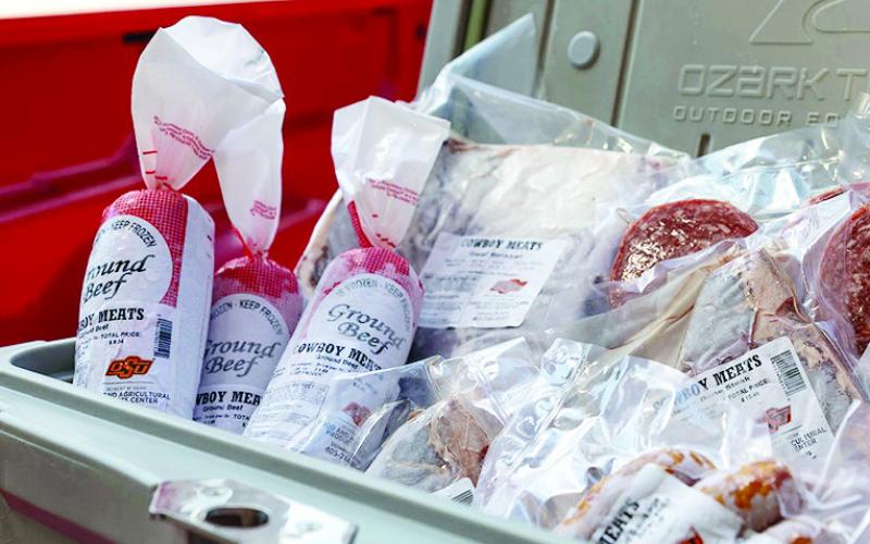 ABOVE: When packing foods in a cooler for a picnic or cookout, include plenty of ice or frozen gel packs to keep foods at 40 F or below. Keep drinks in a separate cooler. ( Photo by Mitchell Alcala, OSU Agriculture)