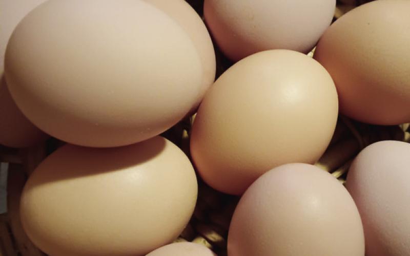 High Prices Are Eggs-asperating