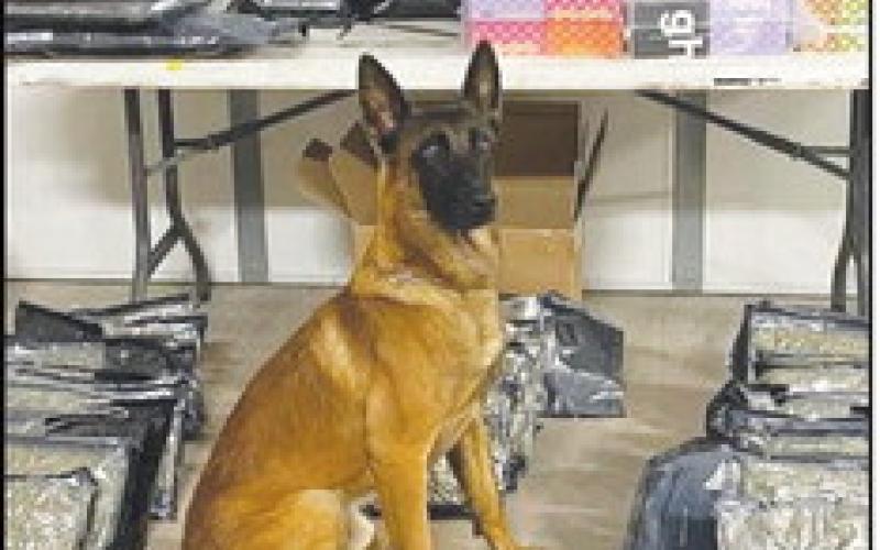 Early Morning  Stop Leads to  Drug Bust
