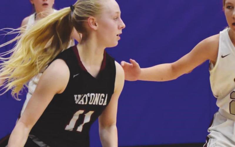 Natalie Walker dribbles through Sayre’s defense looking to make a play. Walker helped lead her team to a 37-20 win over Sayre and advance to the Area round of playoffs.