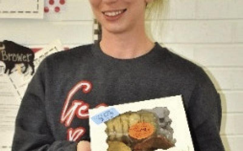 Elementary Staff Member