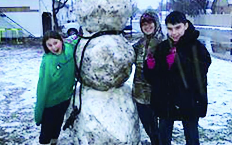 Snowy Images