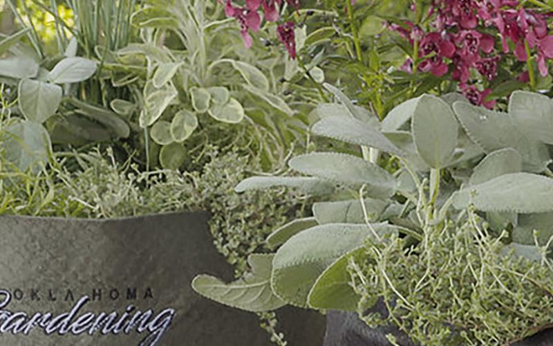 Grow Bags Lightweight Option for Gardeners