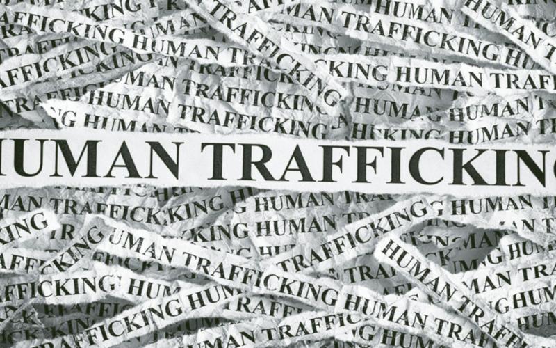 Sting Operation Nets Two