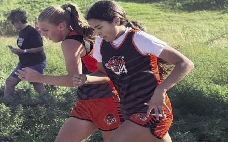 Canton Cross Country Slaying the Field