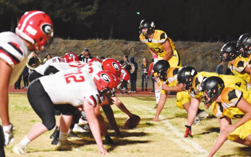 Bison Bound for Playoffs