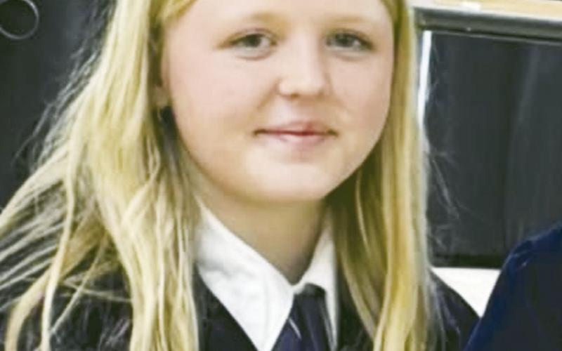 Harper Jones FFA Reporter