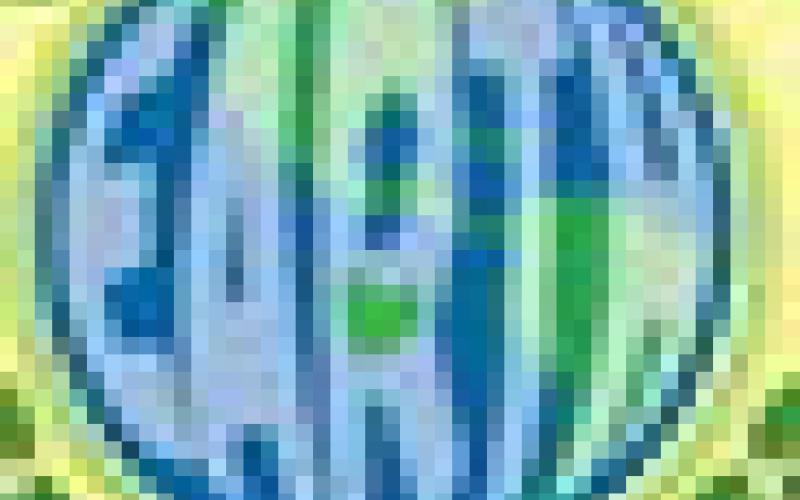 Alt Text for Image