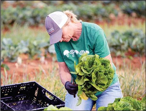 Women in Ag Conference June 30