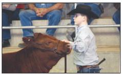 Stock Show Time