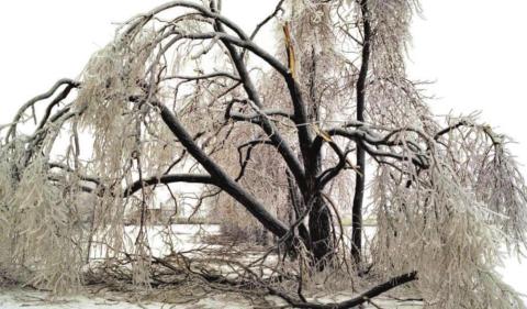 Blaine County Approved for Federal Assistance Following Ice Storm